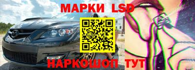 шишки Абакан