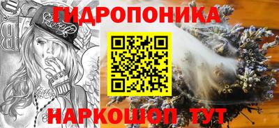 шишки Абакан