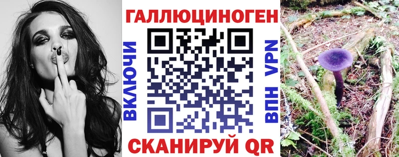 Галлюциногенные грибы Psilocybe  наркотики  Ревда 