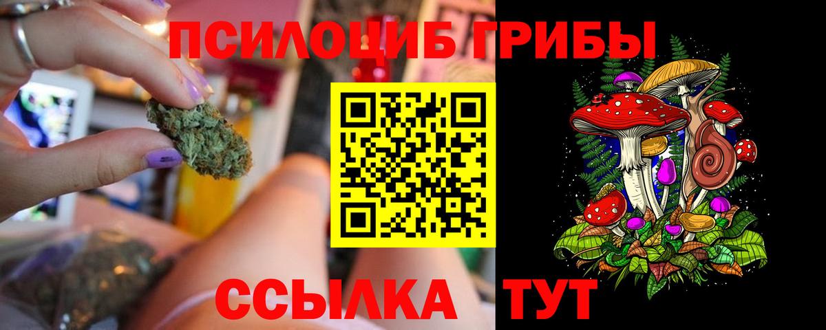 Ревда  Галлюциногенные грибы прущие грибы  Вход с VPN 